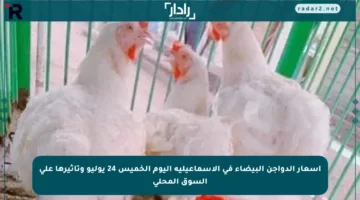 أسعار الدواجن البيضاء في الإسماعيلية اليوم الخميس 24 يوليو وتأثيرها على السوق المحلي
